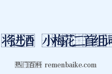 将进酒·小梅花二首组词是什么意思的图片